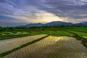 schöne Morgenansicht Indonesien Panoramalandschaft Reisfelder mit Schönheitsfarbe und natürlichem Himmelslicht foto