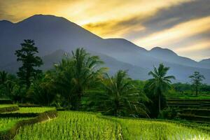 schöne Morgenansicht Indonesien Panoramalandschaft Reisfelder mit Schönheitsfarbe und natürlichem Himmelslicht foto