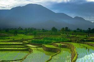 schöne Morgenansicht Indonesien Panoramalandschaft Reisfelder mit Schönheitsfarbe und natürlichem Himmelslicht foto