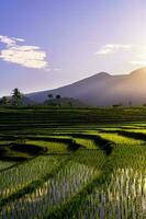 schöne Morgenansicht Indonesien Panoramalandschaft Reisfelder mit Schönheitsfarbe und natürlichem Himmelslicht foto