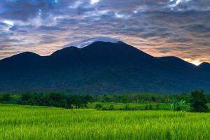 schöne Morgenansicht Indonesien Panoramalandschaft Reisfelder mit Schönheitsfarbe und natürlichem Himmelslicht foto