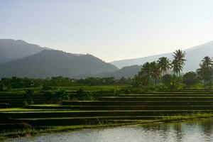 schöne Morgenansicht Indonesien Panoramalandschaft Reisfelder mit Schönheitsfarbe und natürlichem Himmelslicht foto