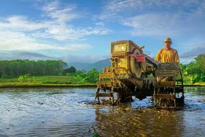 schöne Morgenansicht Indonesien Panoramalandschaft Reisfelder mit Schönheitsfarbe und natürlichem Himmelslicht foto