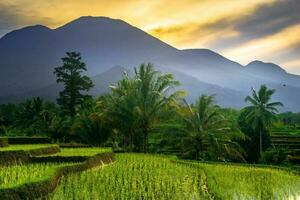 schöne Morgenansicht Indonesien Panoramalandschaft Reisfelder mit Schönheitsfarbe und natürlichem Himmelslicht foto