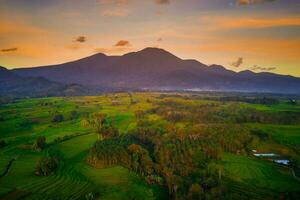 schön Morgen Aussicht Indonesien. Panorama Landschaft Paddy Felder mit Schönheit Farbe und Himmel natürlich Licht foto