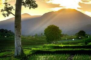 schöne Morgenansicht Indonesien Panoramalandschaft Reisfelder mit Schönheitsfarbe und natürlichem Himmelslicht foto