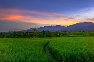 schöne Morgenansicht Indonesien Panoramalandschaft Reisfelder mit Schönheitsfarbe und natürlichem Himmelslicht foto