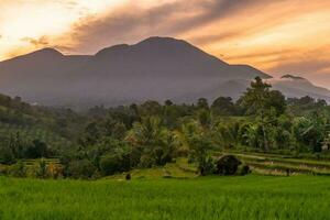 schöne Morgenansicht Indonesien Panoramalandschaft Reisfelder mit Schönheitsfarbe und natürlichem Himmelslicht foto