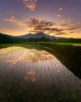 schöne Morgenansicht Indonesien Panoramalandschaft Reisfelder mit Schönheitsfarbe und natürlichem Himmelslicht foto