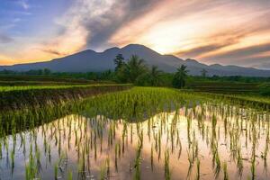 schöne Morgenansicht Indonesien Panoramalandschaft Reisfelder mit Schönheitsfarbe und natürlichem Himmelslicht foto