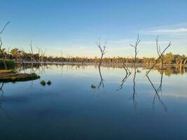 Lara Feuchtgebiete, Queensland Australien foto