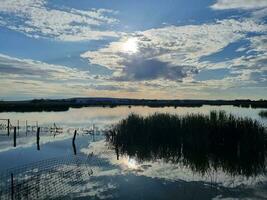 fivebough Feuchtgebiete, nsw Australien foto