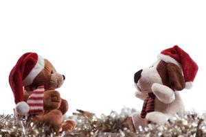 zwei teddybären, die weihnachten und silvester genießen, neujahrsfeierkonzept. isoliert auf weißem Hintergrund. foto