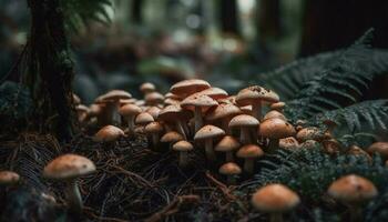 frisch essbar Pilz wächst auf unkultiviert Wald Fußboden generiert durch ai foto