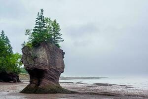 Bucht von Fundy foto