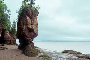 Bucht von Fundy foto