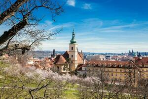 Prag Stadt gesehen von das petrin Gardens beim das Anfang von Frühling foto