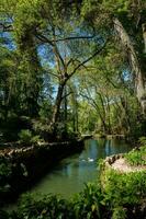 Gardens von Pena Park beim das Gemeinde von sintra foto