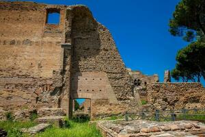 Ruinen von das Palast von Septimius schwer oder domus severiana auf das Gaumen Hügel foto