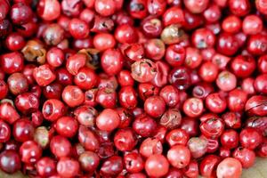 rot Pfeffer von das Brasilianer schinus terebinthifolia Baum auf Olive Holz foto