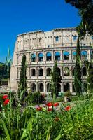 das berühmt Kolosseum oder Kolosseum ebenfalls bekannt wie das flavianisch Amphitheater im das Center von das Stadt von Rom foto