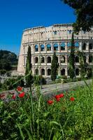 das berühmt Kolosseum oder Kolosseum ebenfalls bekannt wie das flavianisch Amphitheater im das Center von das Stadt von Rom foto