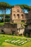 das Stadion von domitian auf das Gaumen Hügel im Rom foto