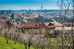 Prag Stadt gesehen von das petrin Gardens auf ein sonnig Tag beim das Anfang von Frühling foto