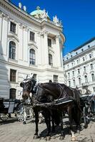 von Pferden gezogen Wagen im Vorderseite von das hofburg Kaiserliche Palast im Wien foto