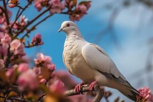 ai generativ Weiß Taube auf ein Ast von ein blühen Baum mit Rosa Blumen foto