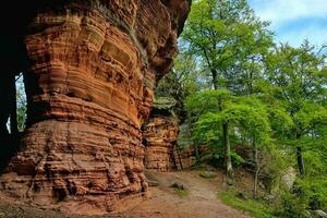 schön Sandstein Formationen im das Pfalz Wald foto