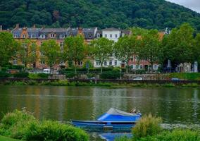 Zwei Enten stehen auf einem Boot am Neckar in Heidelberg, Deutschland