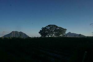 Natur von Indonesien foto