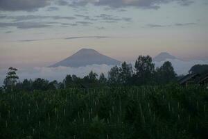 Natur von Indonesien foto