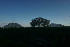 Natur von Indonesien foto