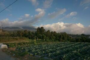 Natur von Indonesien foto