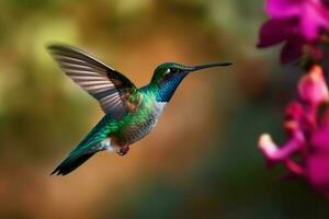 Kolibri fliegend Schnabel. generieren ai foto