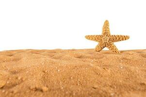 Hintergrund von isoliert Seestern auf das golden Strand foto