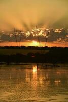 hoch Stromspannung Leistung Linie beim Sonnenuntergang, Pampas, Argentinien foto