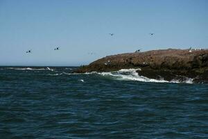 felsig Küsten Landschaft im Patagonien, Süd Amerika. foto