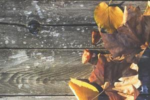 Herbsthintergrund - gefallene Blätter auf Holzuntergrund