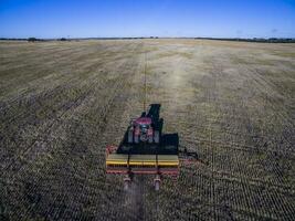 Traktor y Maquinaria Landwirtschaft , Sembrando, la Pampa, Argentinien foto