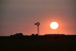 Windmühle im Landschaft beim Sonnenuntergang, Pampas, Patagonien, Argentinien. foto