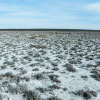 salzig Boden im ein trocken Lagune, im das Süd von das Provinz von la Pampa, Patagonien, Argentinien. foto