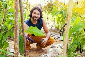 jung Mann Gartenarbeit und wachsend Gemüse foto