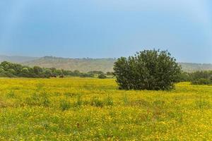 Landschaft der Halbinsel Karpasia, Zypern