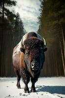 ein Bison Stehen im das Schnee im Vorderseite von etwas Bäume. ai generiert foto