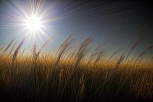 das Sonne scheint hell Über ein Feld von hoch Gras. ai generiert foto