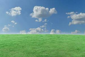 Grün Gras Feld und Blau Himmel mit Weiß Wolken. schön natürlich Wiese Landschaft foto