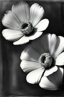 ein schwarz und Weiß Foto von drei Blumen. ai generiert